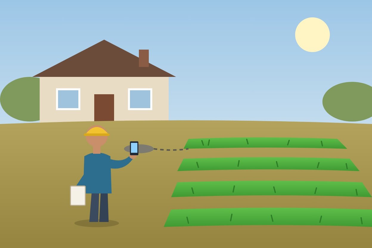 Illustration of a lawn with a bright green strip over a septic drainfield