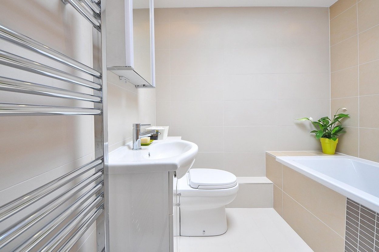 Modern bathroom with white fixtures, towel warmer, and green plant.